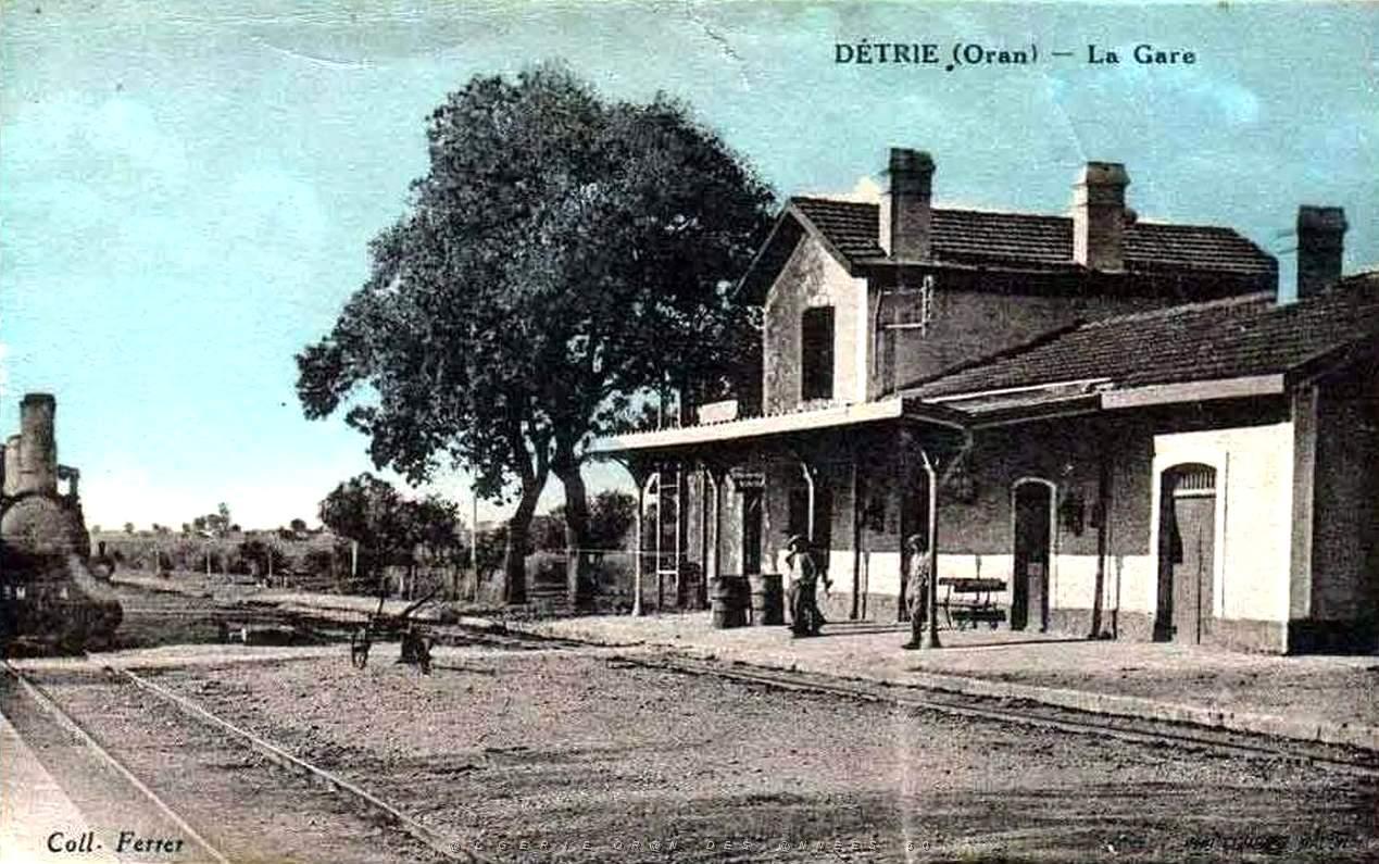 Detrie 600.jpg